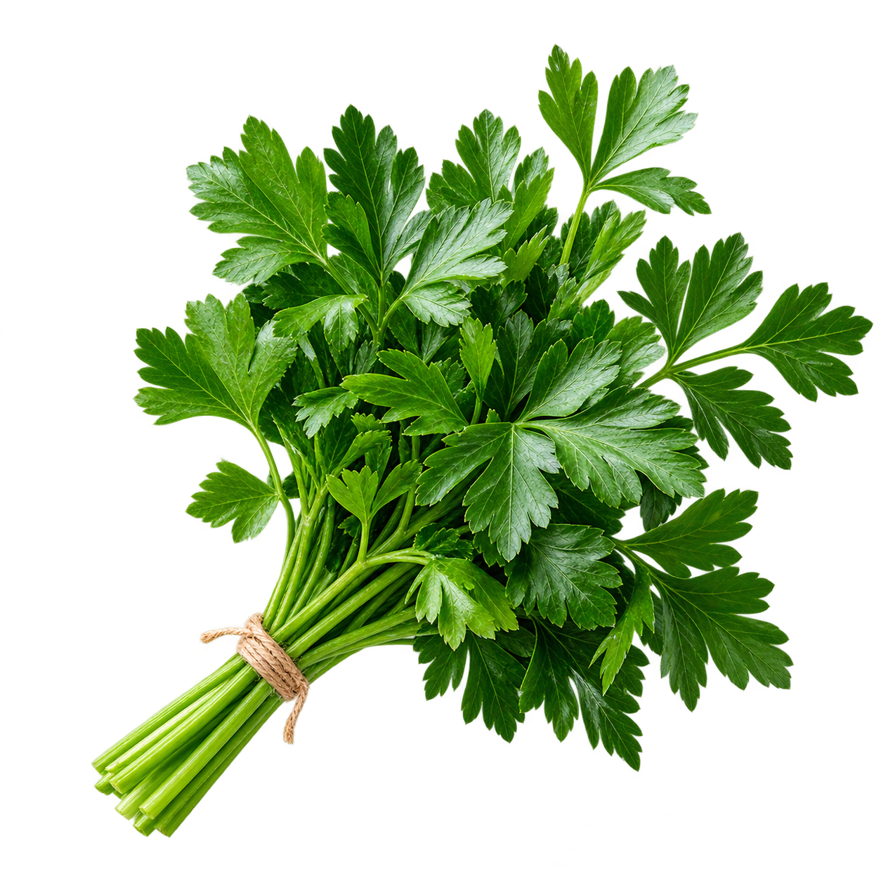 parsley bunch